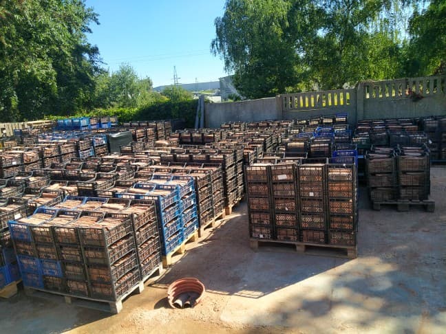 Palletised decorative stone ready for export