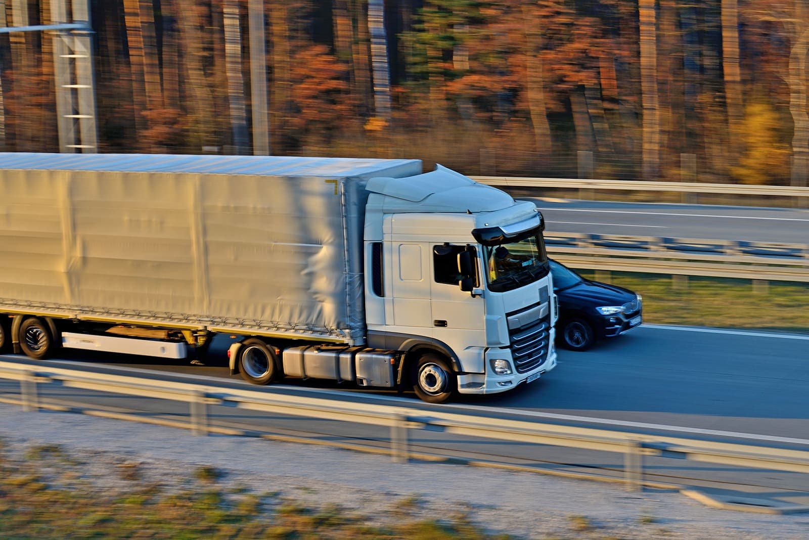 Transport & Delivery service